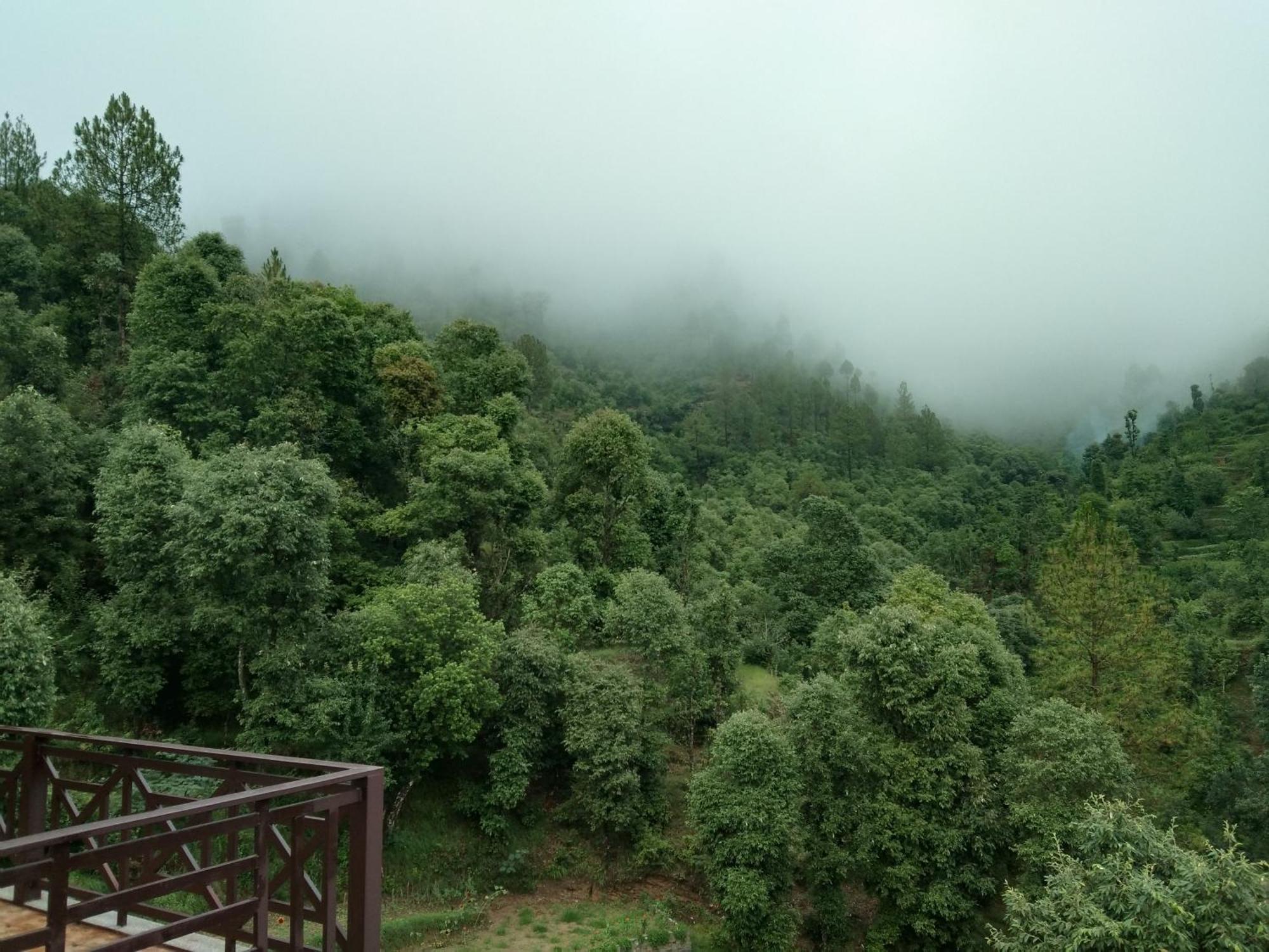 Francolin Lodge-Farmstay @ Darima Mukteshwar Luaran gambar